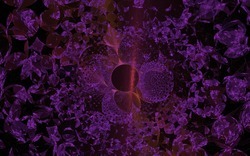 2014 04 19 BlankBased 77-black.jpg